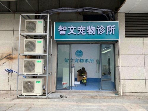 智文宠物诊所