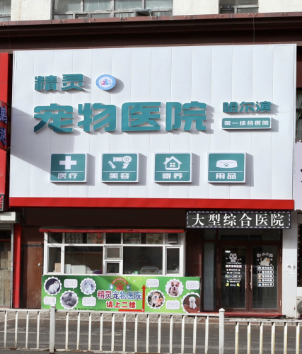 精灵宠物医院