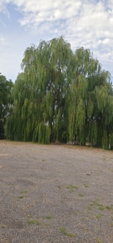 大坝水利风景区