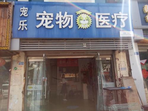宠乐宠物医疗