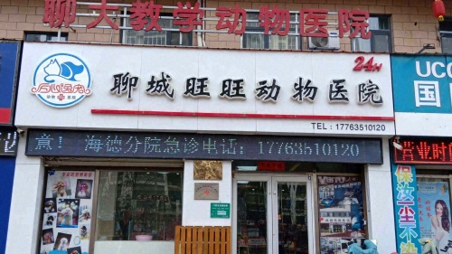 旺旺动物医院(海德公园分院)