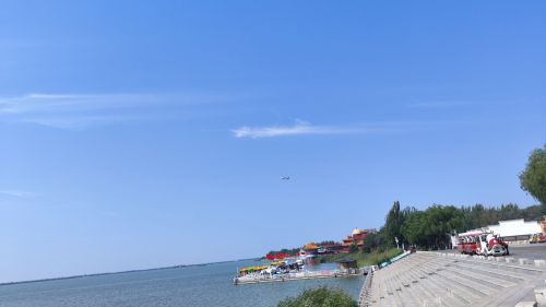 黄河湿地景区