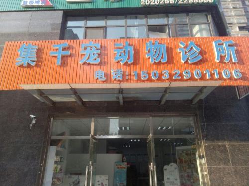 集千宠动物诊所