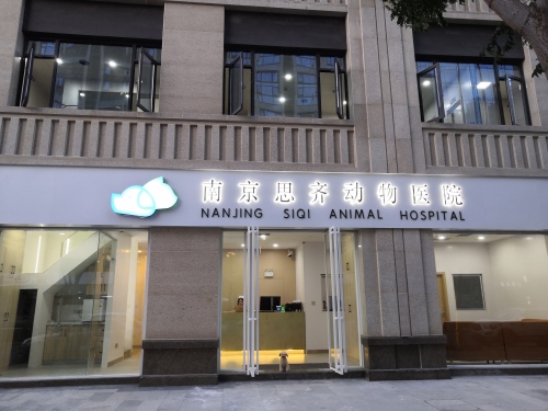 南京思齐动物医院