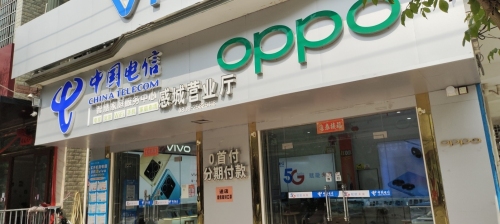 中国电信(东方感城金龙专营店)
