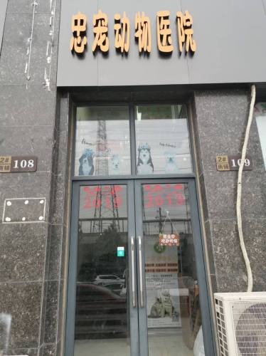 忠宠动物医院