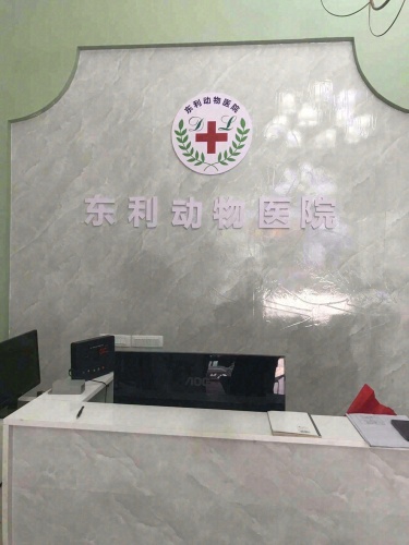 东利动物医院