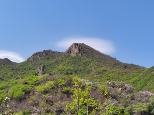 阜新大青山景区