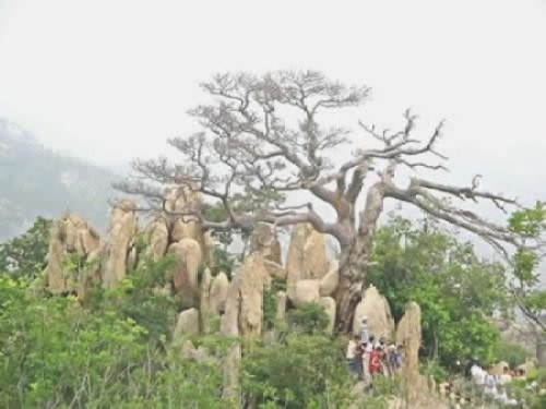 海棠山国家级自然保护区