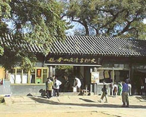 松鹤斋