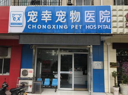 宠幸宠物诊所