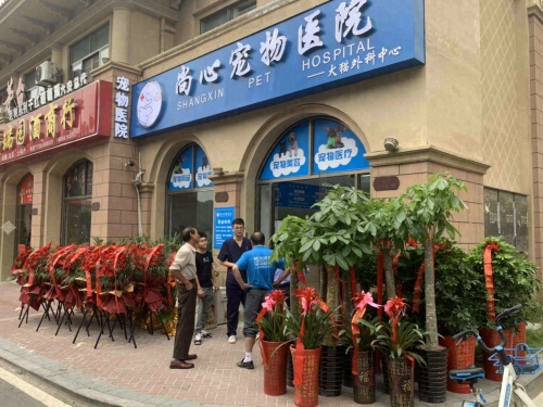 尚心宠物医院