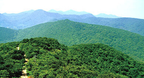 南京老山国家森林公园