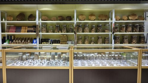 煜香坊海南沉香(嘉宝花园店)