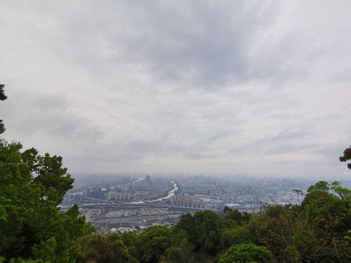 石鼓名山-鼓山大榕树观景台