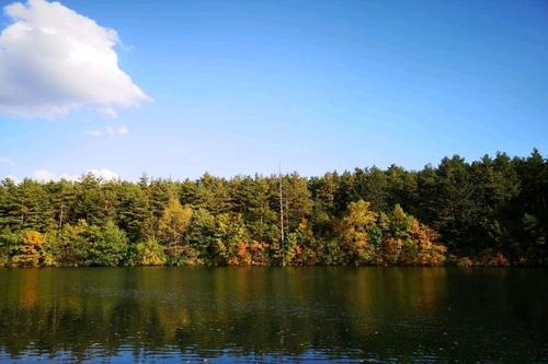 长白山美人松国际雕塑园