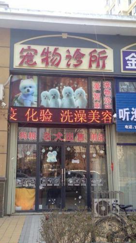 爱智恩宠物诊所