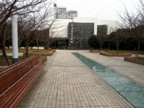 张江艺术公园