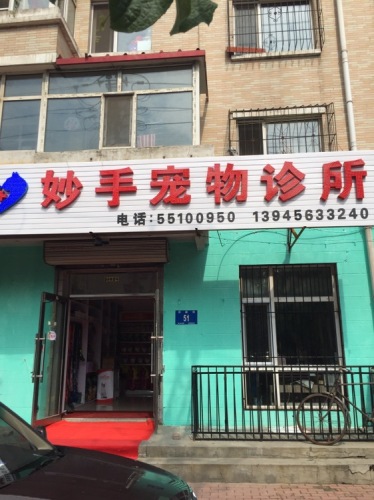 妙手宠物诊所