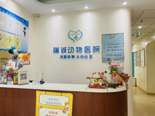 瑞诚动物医院(角门店)