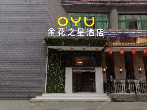 金花之星酒店(江汉路步行街江滩店)