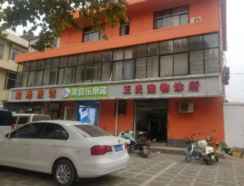 王氏动物诊所