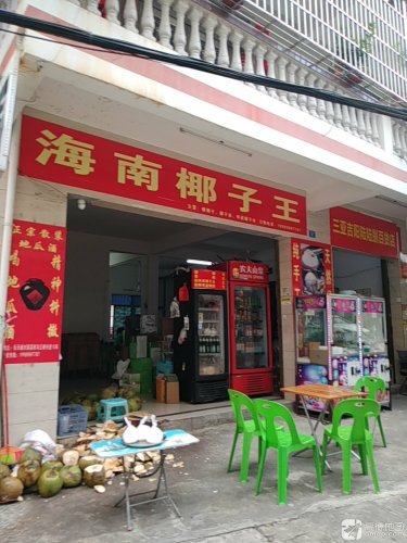 海南椰子王