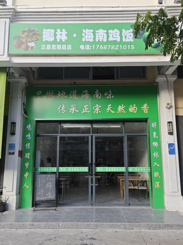 椰林·海南鸡饭