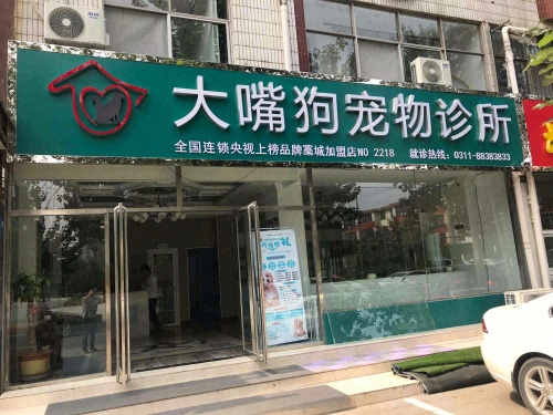 大嘴狗宠物诊所