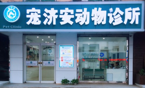 宠济安动物诊所