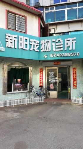 新阳宠物诊所