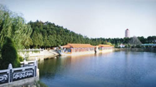 张庄公园