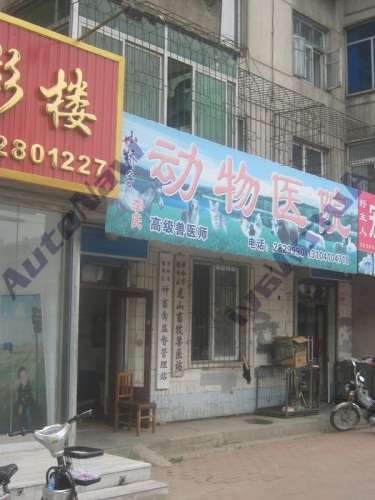 动物诊所