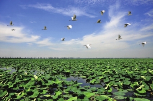 鹤龙湖