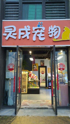 灵戌宠物