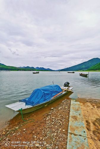 集安鸭绿江花海