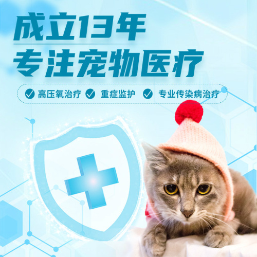 上海喜乐缘宠物珍疗中心