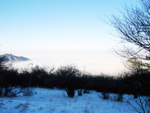 龙鹄山