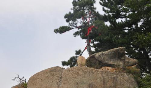 北武当山风景区-大象守山