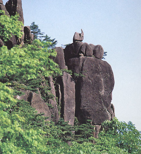 黄山-天鹅孵蛋