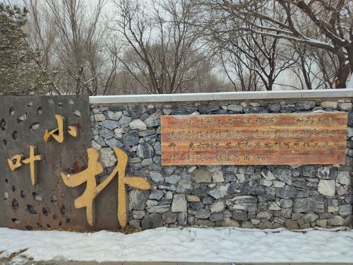 树村公园