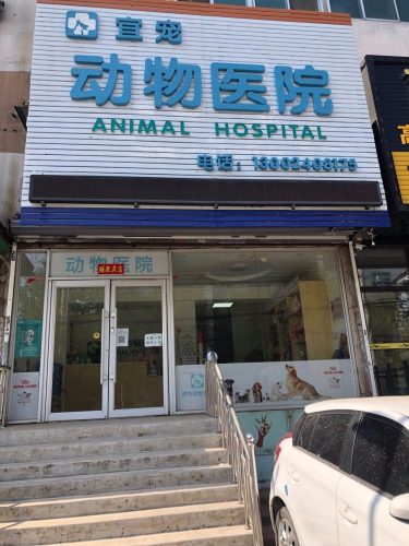 宜宠动物医院