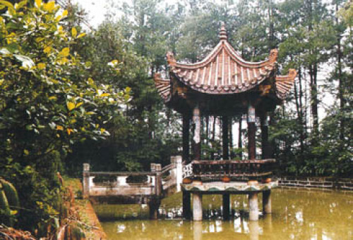 金城山森林公园