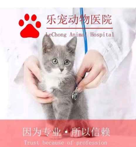 石家庄乐宠动物医院桥西分院