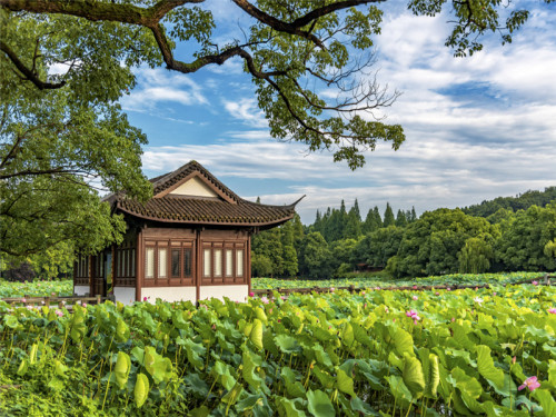 西子驿曲院风荷