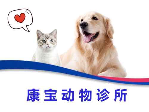 康宝动物诊所