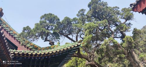 交城卦山景区