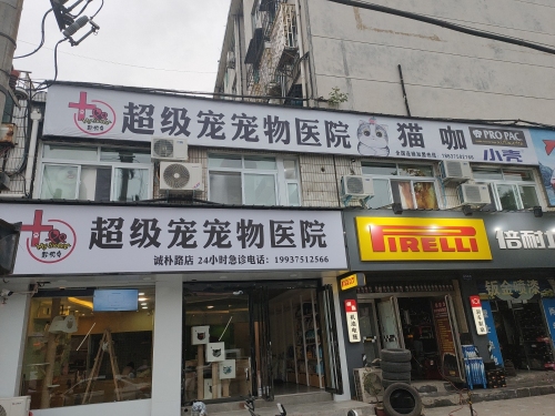超级宠宠物医院诚朴路店