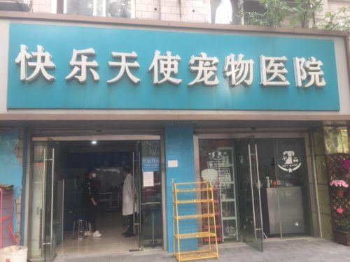 快乐天使宠物医院(姚港路)