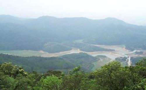 大岭山森林公园